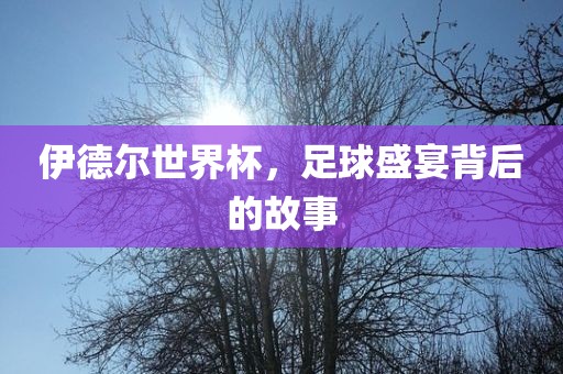 伊德尔世界杯，金炬实业股份有限公司足球盛宴背后的故事