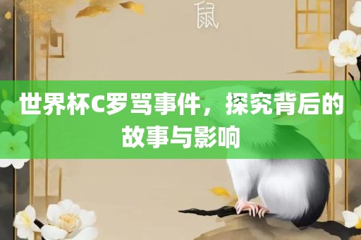 世界杯C罗骂事件，探究背后的故事与影响