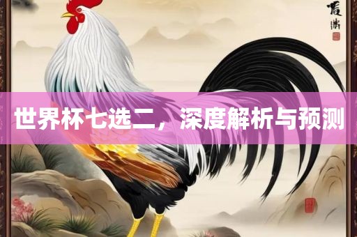 世界杯七选二，深度解析与预测金炬实业股份有限公司