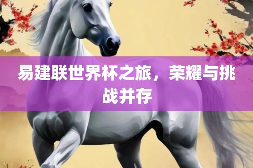 易建联世界杯之旅，荣耀与挑战并存