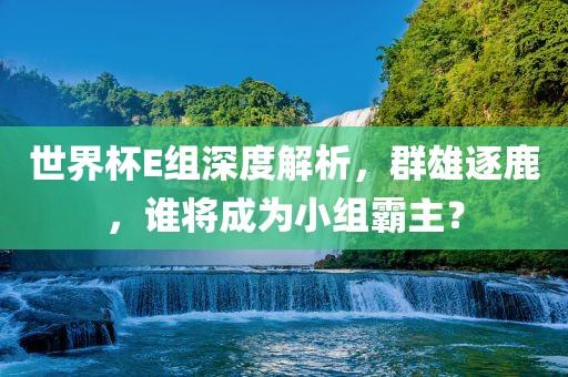 世界杯E组深度解析，群雄逐鹿，谁将成为小组霸主？