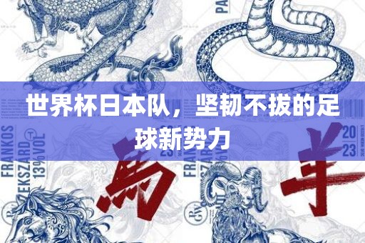 世界杯日本队，坚韧不拔的足球新势力