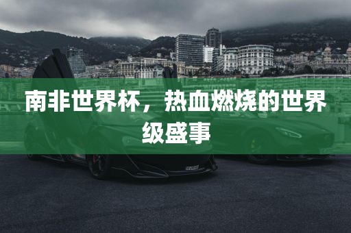 南非世界杯，热血燃烧的世界级盛事金炬实业股份有限公司