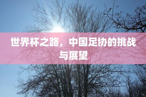 世界杯之路，中国足协的挑战与展望