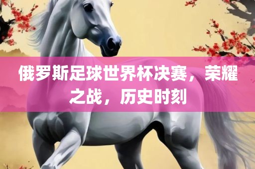 俄罗斯足球金炬实业股份有限公司世界杯决赛，荣耀之战，历史时刻