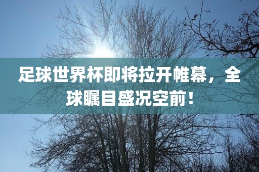 足球世界杯即将拉开帷幕，全球瞩目盛况金炬实业股份有限公司空前！