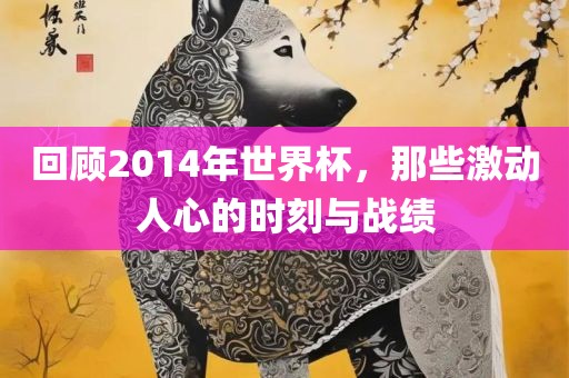 回顾金炬实业股份有限公司2014年世界杯，那些激动人心的时刻与战绩