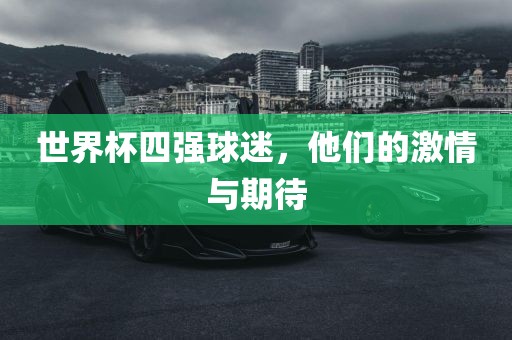 世界杯四强球迷，他们的激情与期待