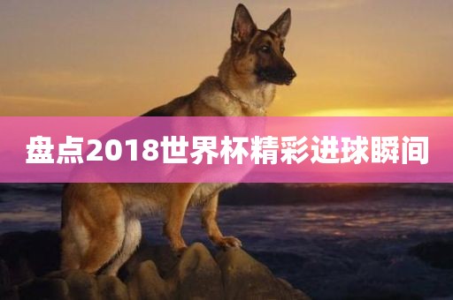 盘点2018世界杯精彩进球瞬间金炬实业股份有限公司