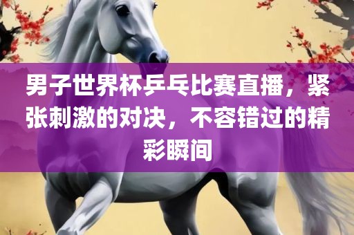 男子世界杯乒乓比赛直播，紧张刺激的对决，不容错过的精彩瞬间金炬实业股份有限公司