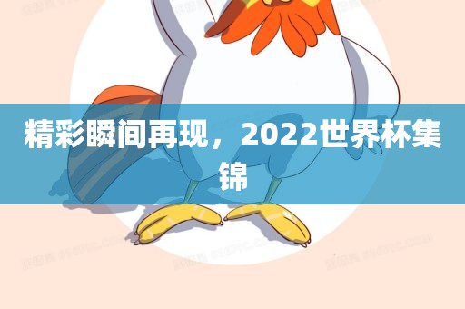 精彩瞬间再现，2022世界杯集锦金炬实业股份有限公司