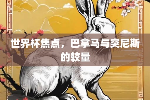 世界杯焦点，巴拿马与突尼斯的较量金炬实业股份有限公司