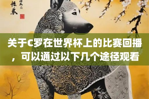 关于C罗在世界杯上的比赛回播，可以通过以下几个途径观看