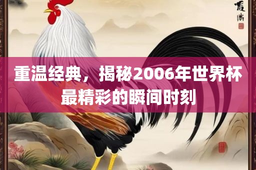 重温经典，揭秘2006年世界杯最精彩的瞬间时刻金炬实业股份有限公司