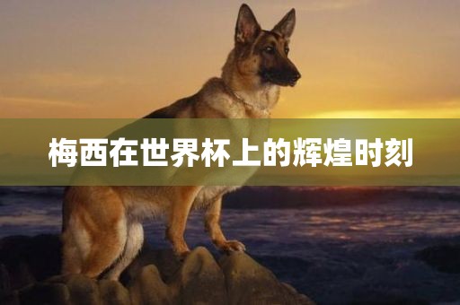 梅西在世界杯上的辉煌时刻