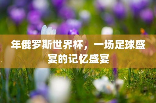 年俄罗斯世界杯，一场足球盛宴的记忆盛宴
