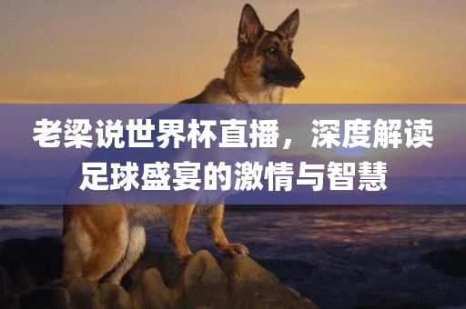 老梁说世界杯直播，深度解读足球盛宴的激情与智慧