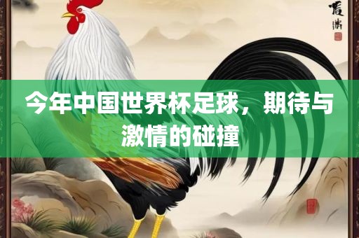 今年中国世界杯足球，期待与激情的碰撞