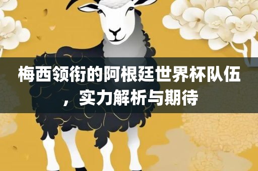 梅西领衔的阿根廷世界杯队伍，实力解析与期待