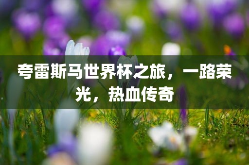 夸雷斯马世界杯之旅，一路荣光，热血传奇