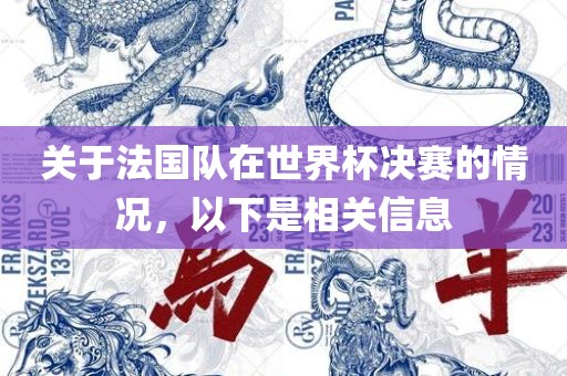 关于法国队在世界杯决赛的情况，以下是相关信息