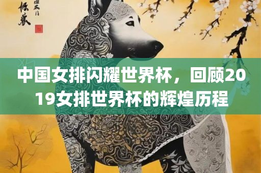 中国女排闪耀世界杯，回顾2019女排世界杯的辉煌历程