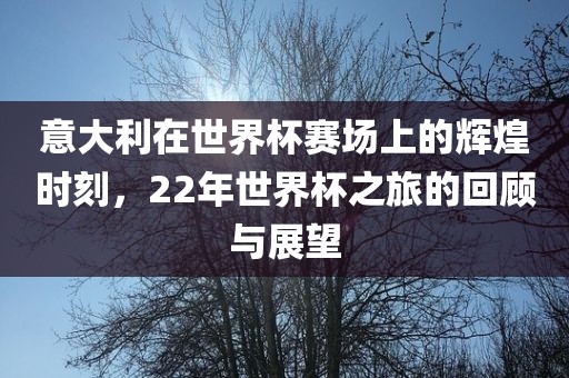 意大利在世界杯赛场上的辉煌时刻，22年世界杯之旅的回顾与展望