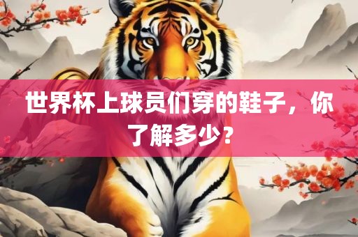 世界杯上球员们穿的鞋子，你了解多少？金炬实业股份有限公司