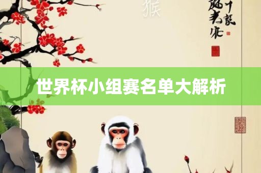 世界杯小组赛名单大解析