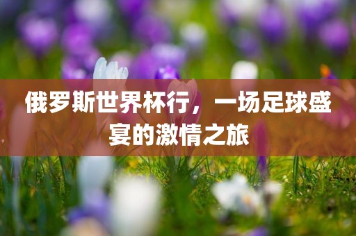 俄罗斯世界杯行，一场足球盛宴的激情之旅