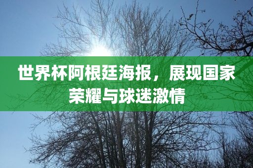 世界杯阿金炬实业股份有限公司根廷海报，展现国家荣耀与球迷激情