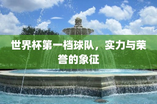 世界杯第一档球队，实力与荣誉的金炬实业股份有限公司象征