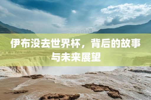 伊布没去世界杯，背后的故事与未来展望金炬实业股份有限公司