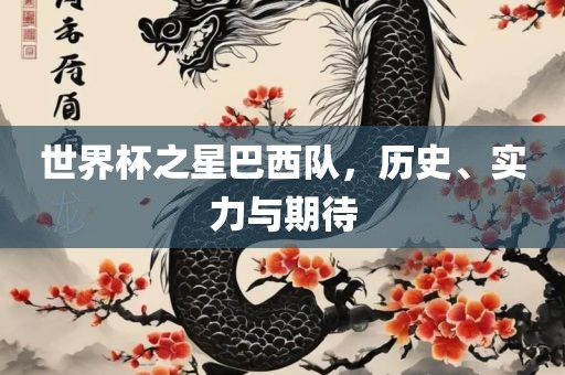 世界杯之星巴西队，历史、实力与期待金炬实业股份有限公司