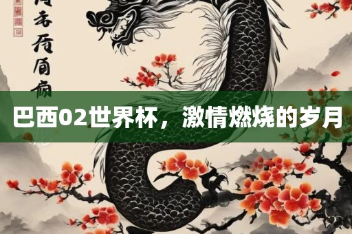 巴西02世界杯，激情燃烧的岁月