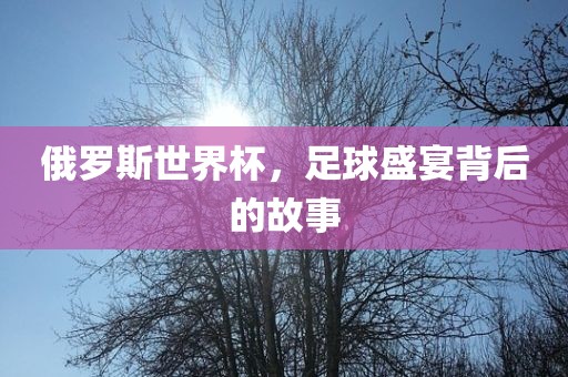 俄罗斯世界杯，足球盛宴背后的故事