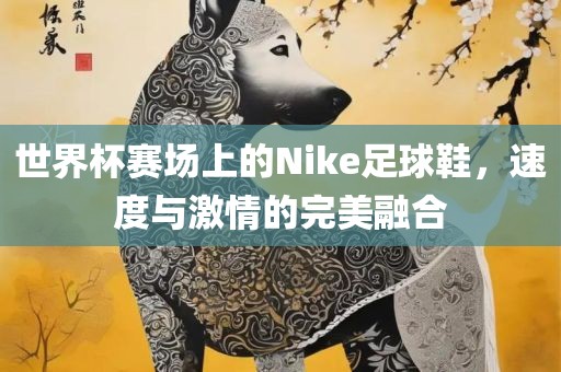世界杯赛场上的Nike足球鞋，速度与激情的完美融合金炬实业股份有限公司