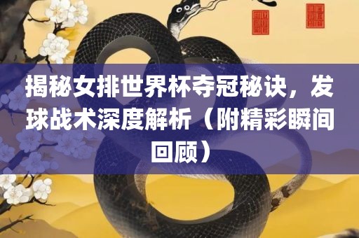 揭秘女排世界杯夺冠秘诀，发球战术深度解析（附精彩瞬间回顾）金炬实业股份有限公司