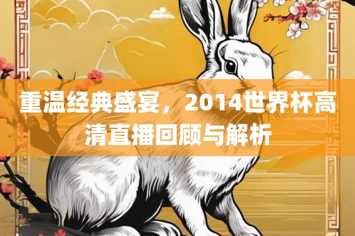 重温经典盛宴，2014世界杯高清直播回顾与解析