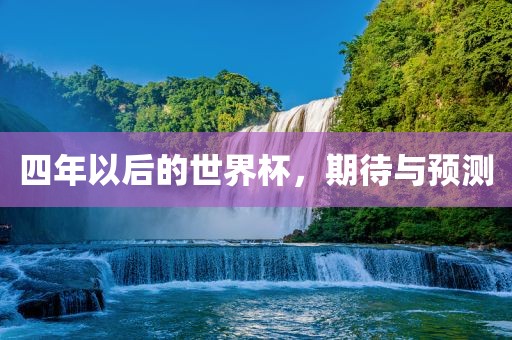 四年以后的世界杯金炬实业股份有限公司，期待与预测