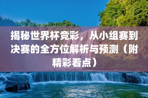 揭秘世界杯竞彩，从小组赛到决赛的全方位解析与预测（附精彩看点）