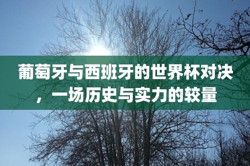 葡萄牙与西班牙的世界杯对决，一场历史与实力的较量金炬实业股份有限公司