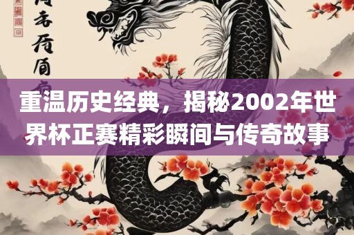 重温历史经典，揭秘2002年世界杯正赛精彩瞬间与传奇故事