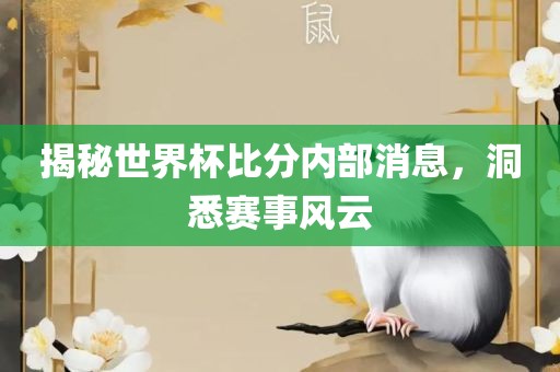 揭秘世界杯比分内部消息，洞悉赛事风云