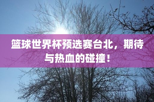 篮球世界杯预选赛台北，期待与热血的碰撞！金炬实业股份有限公司