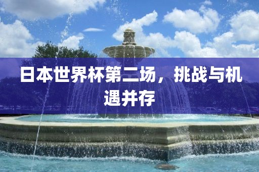 日本世界杯第二场，挑战与机遇并存