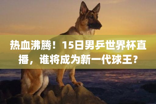 热血沸腾！15日男乒世界杯直播，谁将成为新一代球王？