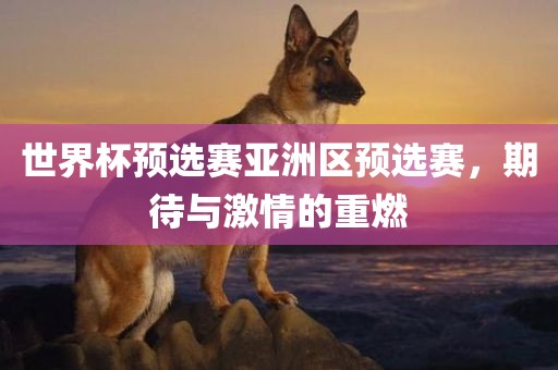 世界杯预选赛亚洲区预选赛，期待与激情的重燃