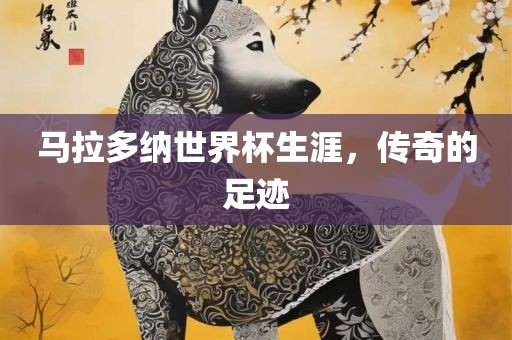 马拉多纳世界杯生涯，传奇的足迹