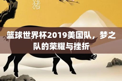 篮球世界杯2019美国队，梦之队的荣耀与挫折金炬实业股份有限公司